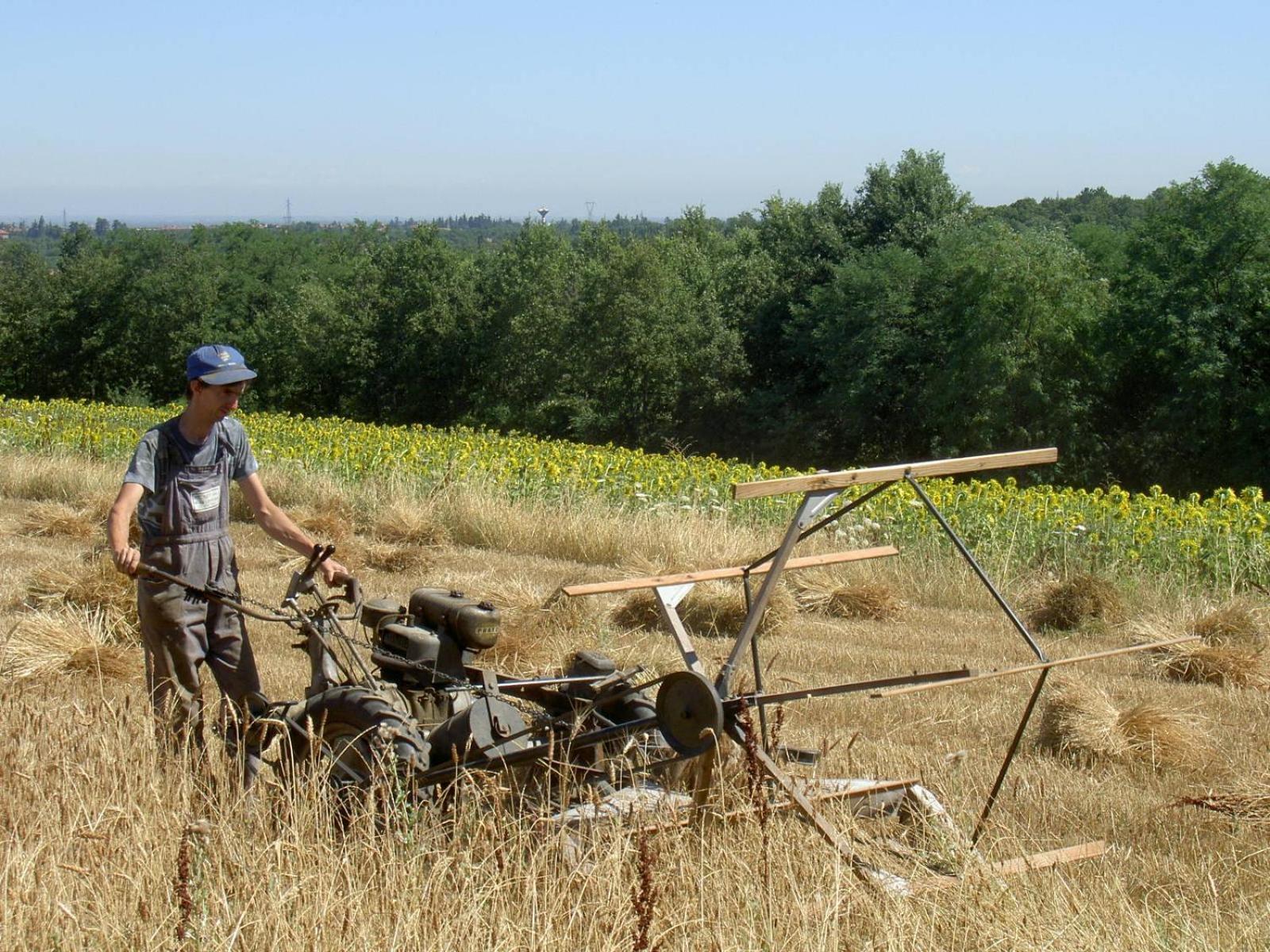 Agriturismo Cascina Degli Ulivi Novi Ligure Luaran gambar