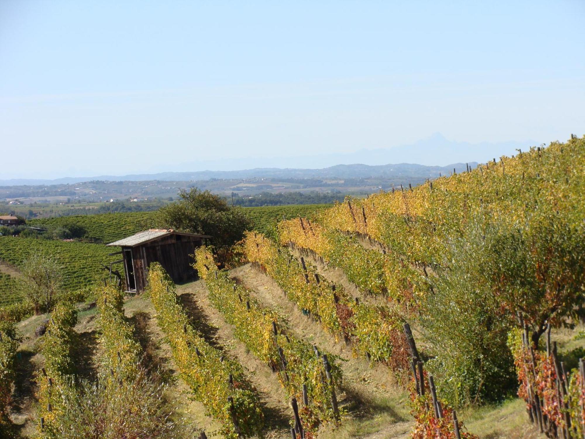Agriturismo Cascina Degli Ulivi Novi Ligure Luaran gambar
