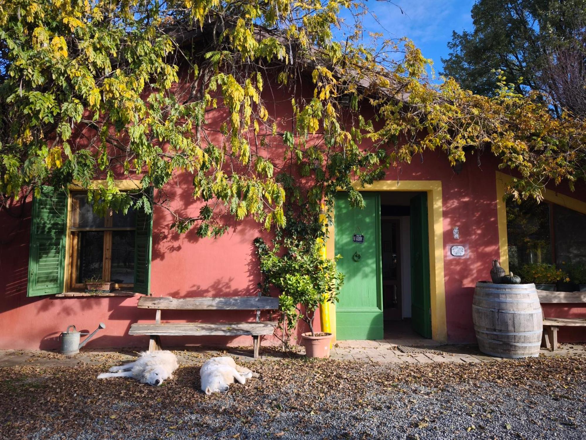 Agriturismo Cascina Degli Ulivi Novi Ligure Luaran gambar