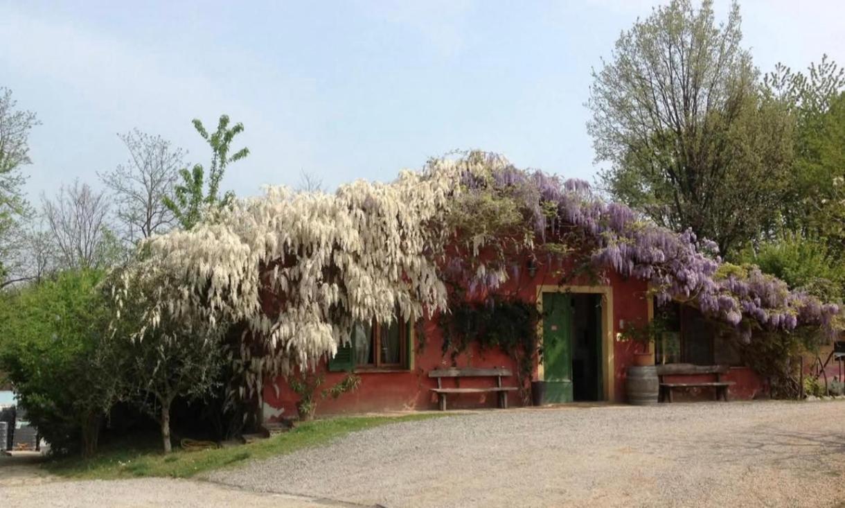 Agriturismo Cascina Degli Ulivi Novi Ligure Luaran gambar