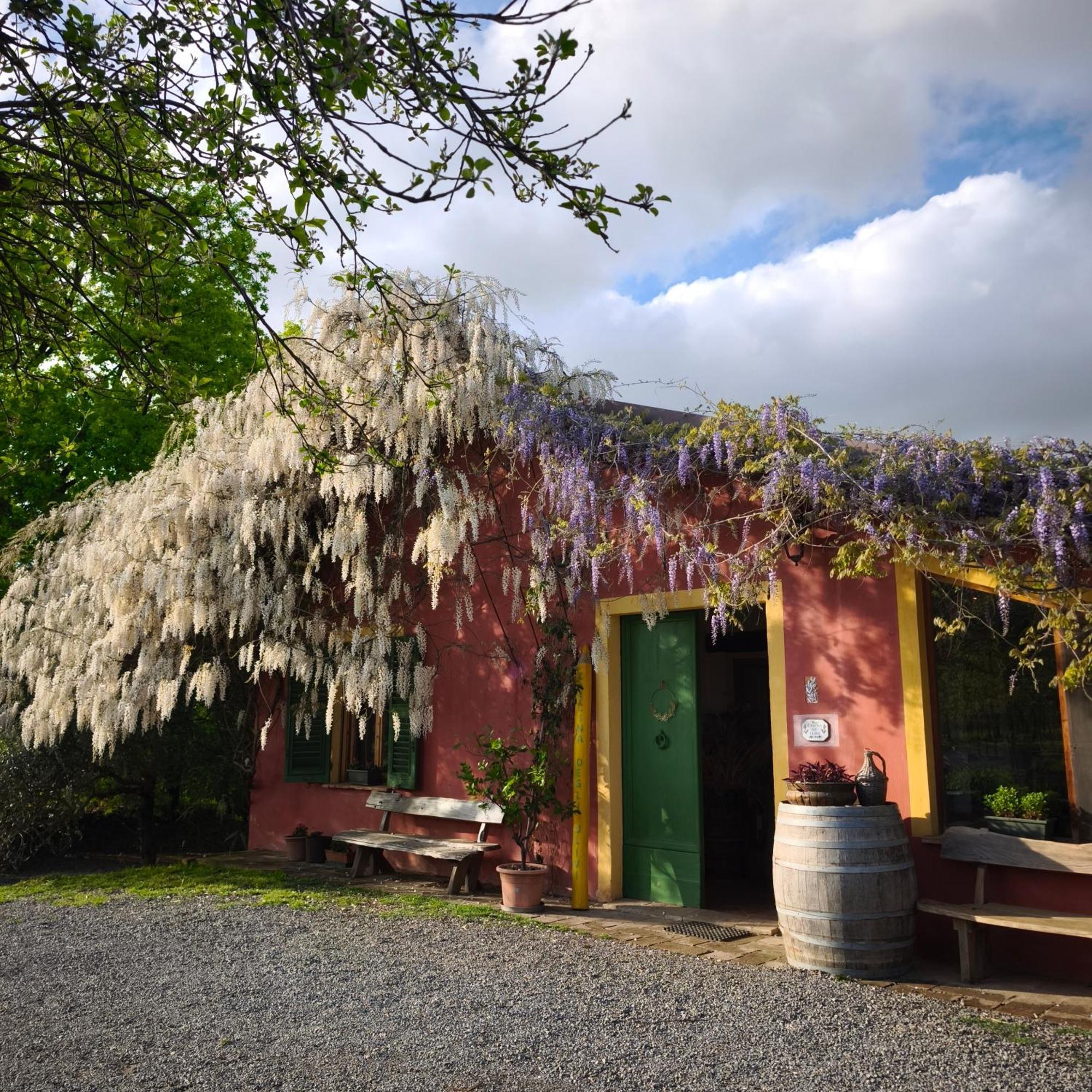 Agriturismo Cascina Degli Ulivi Novi Ligure Luaran gambar